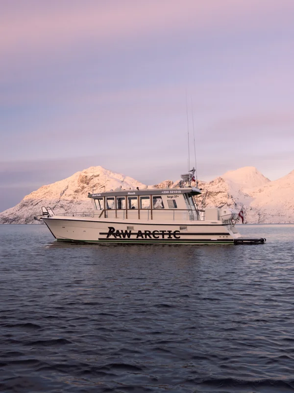 Charter boat cruising past icebergs